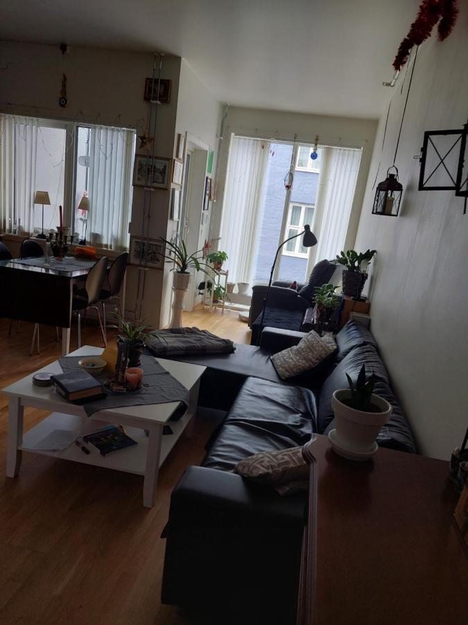 Shared Apartment, Down Town Oslo, Osterhaus'Gate 10 외부 사진